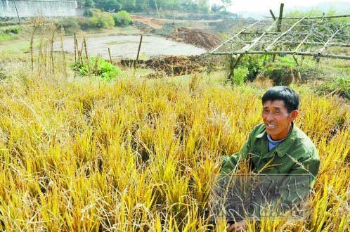 今年春季我国北方旱情严重,导致大量农田减产