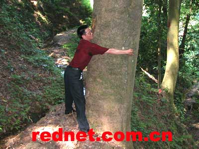 湖南保卫绿色关注森林视察采访团抵株洲醴陵