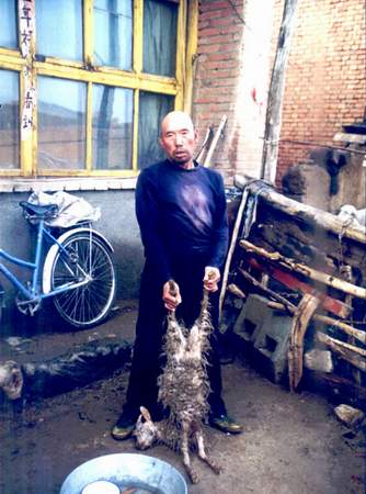 (羊倌拎着被冰雹砸死的山羊 摄影/许占国)