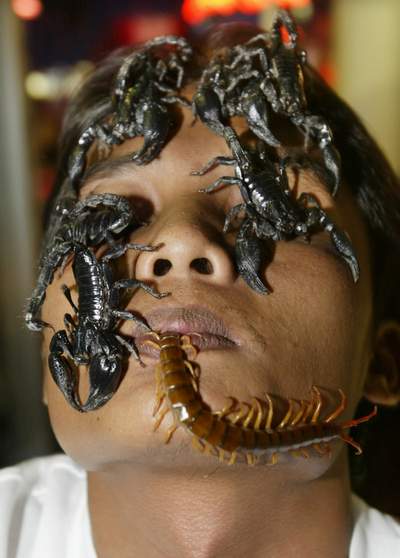 泰国一名26岁男青年与一千只蜈蚣成功共处28天