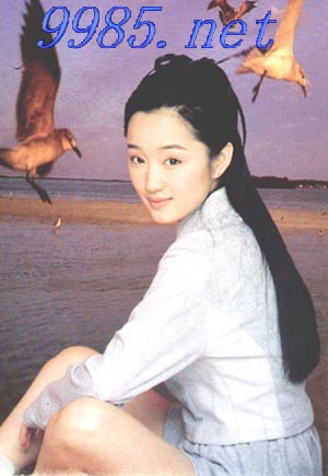 杨钰莹完全档案