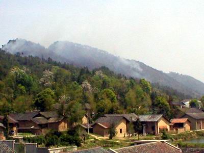 宁乡巷子口镇一日发生四次山林火灾(图)