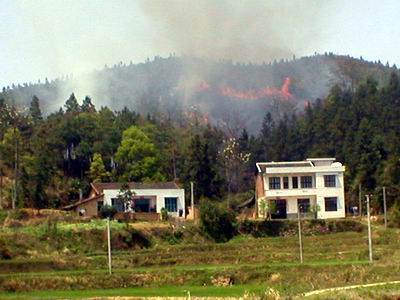 宁乡巷子口镇一日发生四次山林火灾(图)