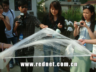 连线浙江:破茧抽丝 镜头记录蚕丝被的制作过程