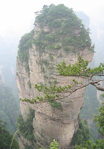 美丽的张家界:一柱擎天(图)