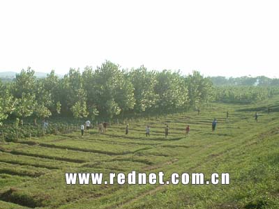 洞庭湖水位持续上涨 益阳沅江加强巡逻防守力