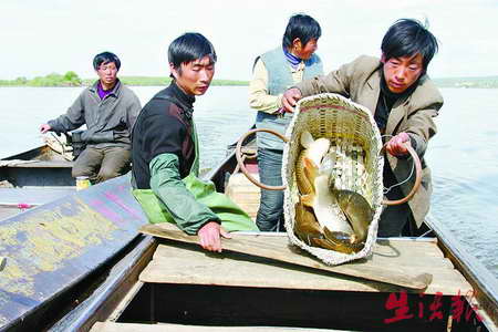 中国记者探访黑瞎子岛:面积相当500个珍宝岛(