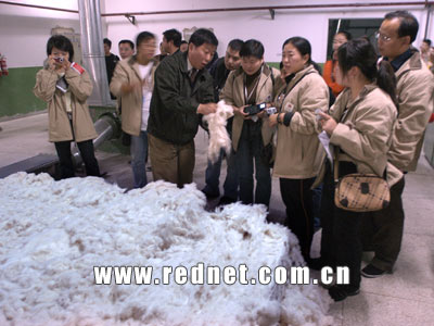 红网记者看安徽:飞亚纺织欲做国内棉纺企业龙头