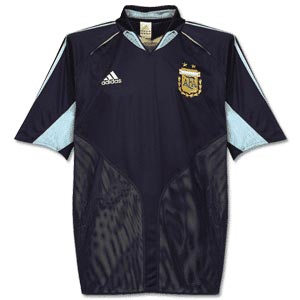 2006世界杯C组:阿根廷队
