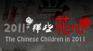 2011,那些花儿