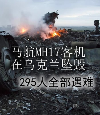 马航mh17客机在乌克兰坠毁 295人全部遇难