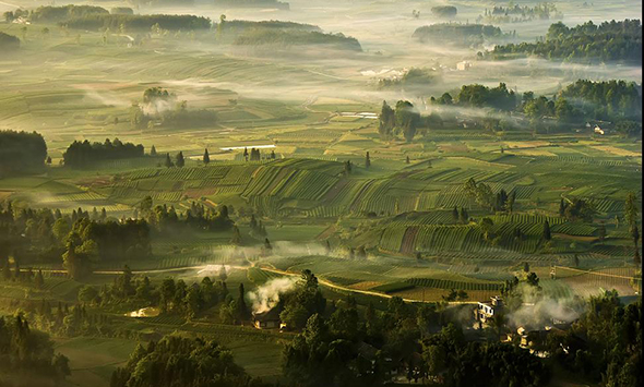 中国富锌富硒有机茶之乡-凤冈县