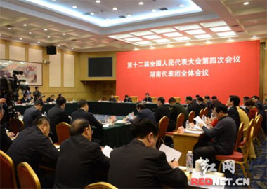 Hunan delegation learns spirit of Xis important speech 