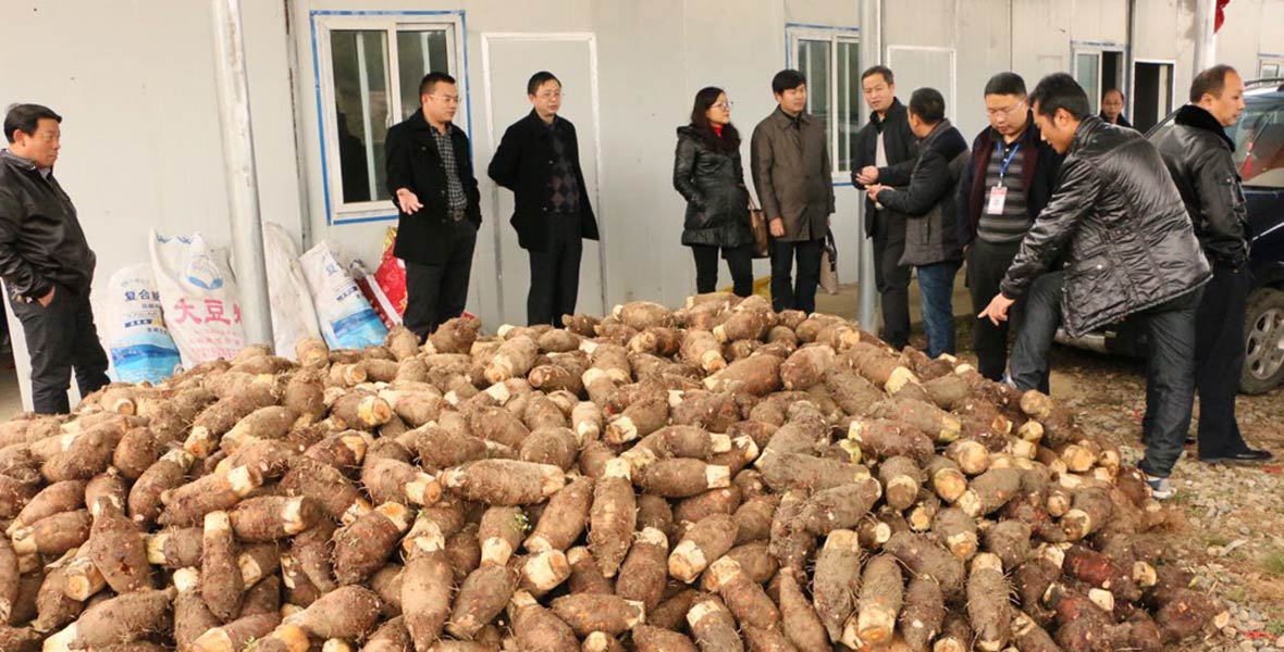 ջĴ