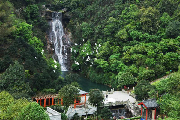 【你学法我送票·郴州】王仙岭旅游风景区