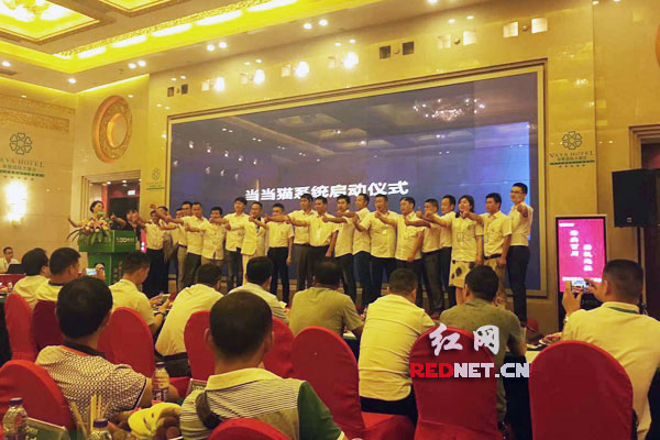 当当猫系统整合家居建材行业产业链 探索市场