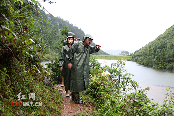 税务铁军战洪峰:湖南抗洪救灾中的国税力量