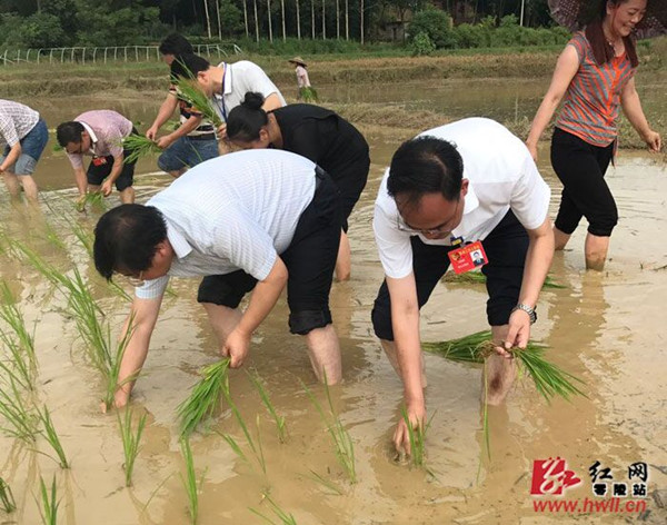 元朝国土和人口是多少_元朝版图