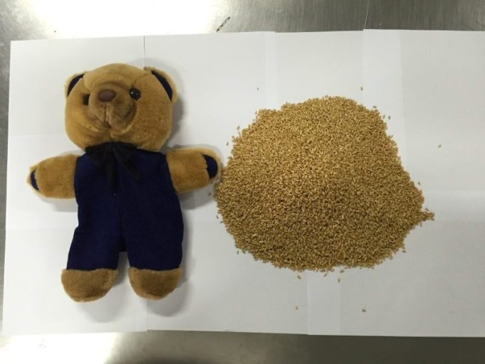 郴州检验检疫局从进境玩具熊中截获小麦种子