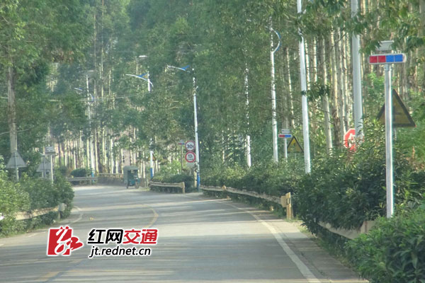 嘉禾县新增安装546套太阳能警示灯 打造出行平