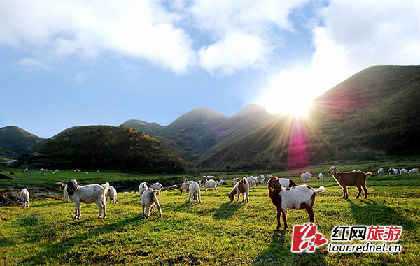 [书记县长谈旅游]谭建上:五养构建桂东全域旅