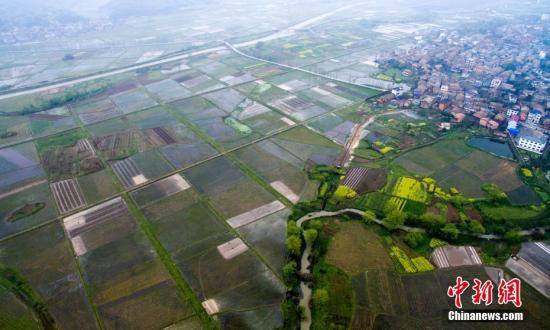 中国拟修法明确保护农村土地承包关系稳定并长