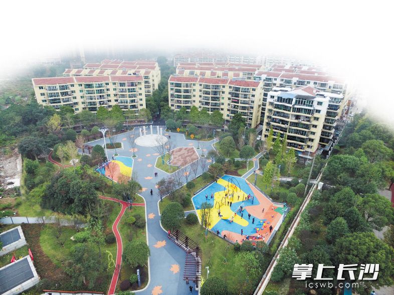 ↓龙王港社区对三个花园进行全面提质改造，2.9万平方米绿化让小区宛如一个大花园。岳麓区 供图