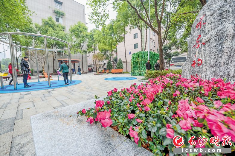 芙蓉区荷花园街道荷晏社区内，老旧房屋颜值飙升，新修的连心广场成为居民快乐休闲地。长沙晚报记者 陈飞 摄