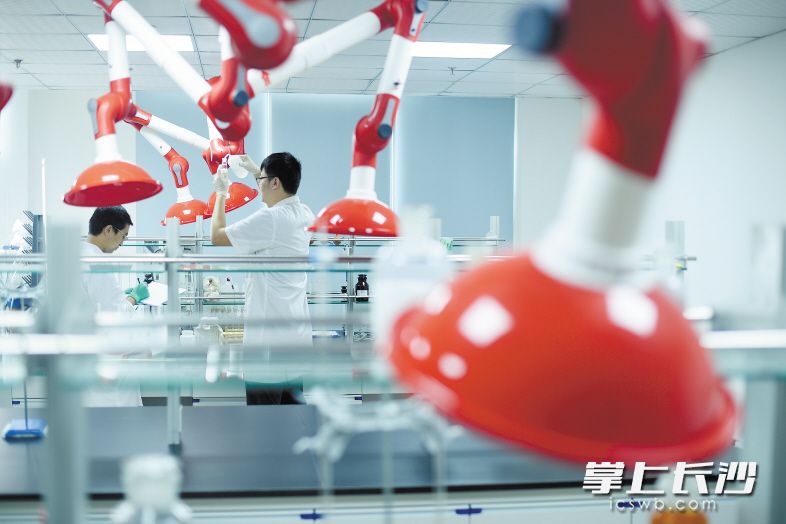 在分析室，实验人员对水样进行成分分析。