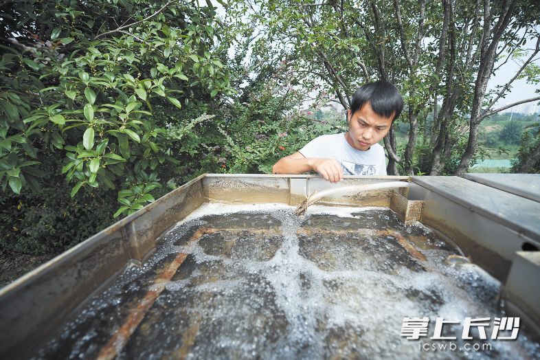 工作人员在龙王港南岸检查微生物活化装置运行情况，这种装置可帮助水体恢复自净能力。