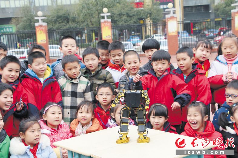 岳麓一小校园科技节上，孩子们对机器人充满兴趣。