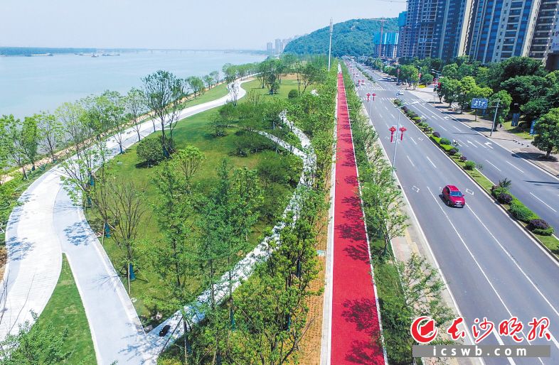 湘江风光带金霞段绿化带精致精美，成为市民休闲游玩的好地方。邹麟 摄