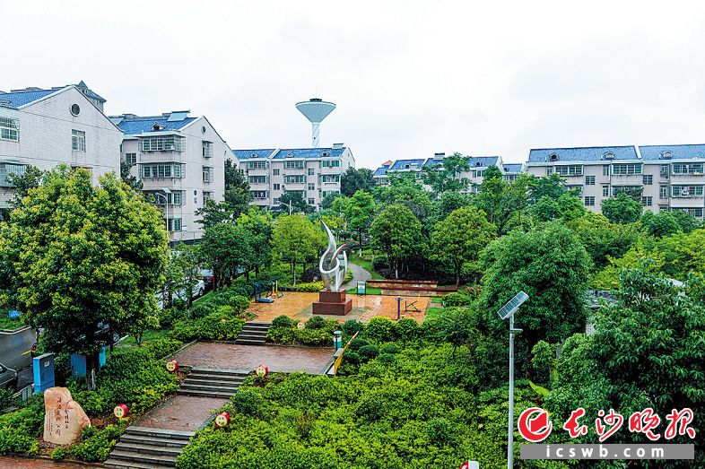 全面提质提档后的天心区金桂社区，绿色随处可见。邹麟 摄