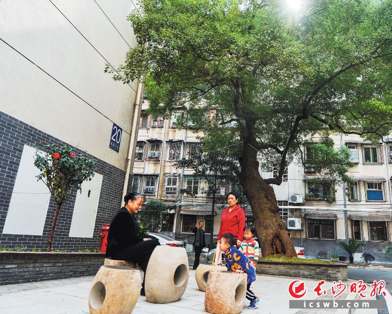 长沙园林系统今年将全面推动城乡园林绿化特色