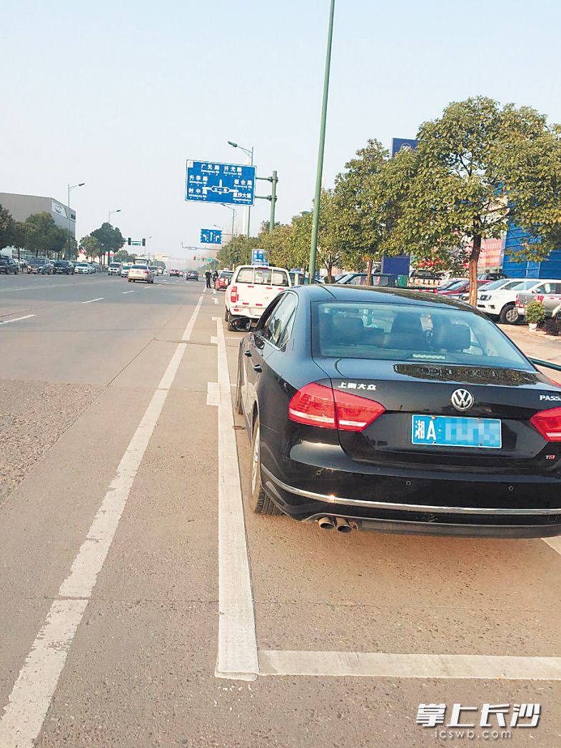 物贸路收费路段的停车位与周边不收费的停车位差别不大。均为长沙晚报帮帮团记者 谢春年 摄