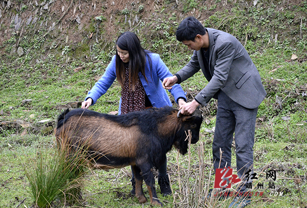 The young make differences in Hunan rural area
