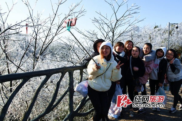 张家界天门山景区出现雾凇美景.覃少波 摄