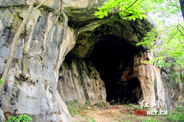 永州零陵区凼底乡发现大型溶洞群(组图)