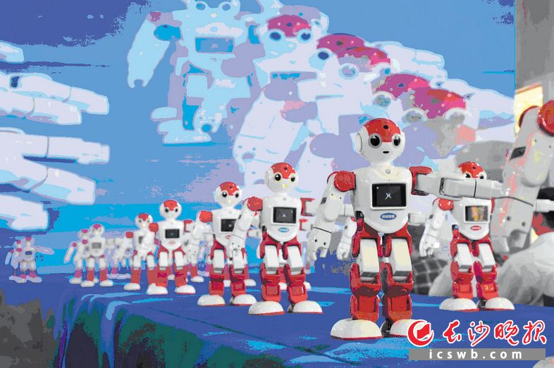 活跃在长沙科技主题活动上的机器人