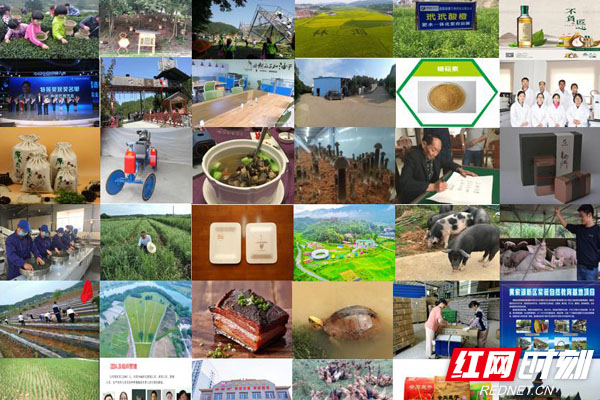 第二届湖南省农村创业创新项目创意大赛即将开