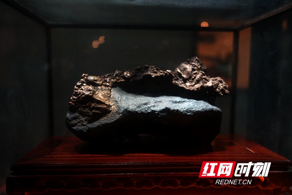 晚安·中国红木馆第五届奇石博览会开展 “烤鸭”石估值上亿