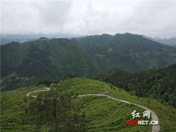 五大新亮点，夯实古丈旅游扶贫