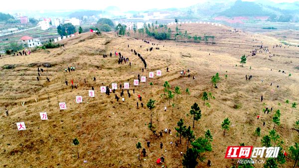 实干春风暖九嶷--永州宁远县三比三创开新篇