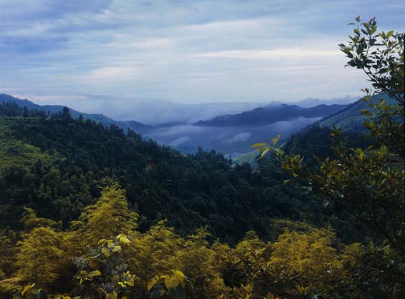 长龙江大峡谷所在地——省级地质公园"四明山"