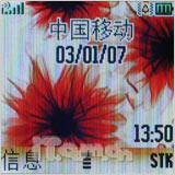 ��ʵ��Ħ��С��ֱ���W205����(3)