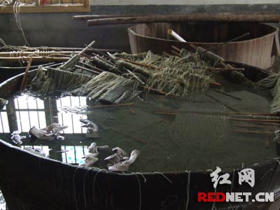 垃圾堆旁制作红薯粉 湖南取缔食品制假黑窝点