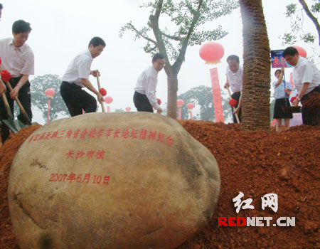 长沙市栽种下的友谊树:长沙市植,2007年6月10日