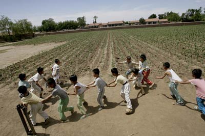 村小学缺钱操场变农田 大片苞米地包围旧教室