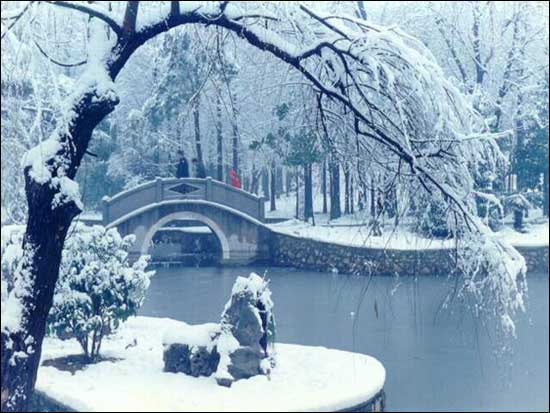 静谧冬季--华中科技大学