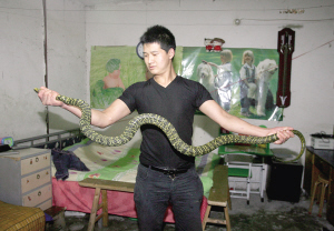 两米长大王蛇溜进民宅被抓获(图)